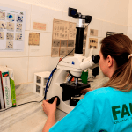 Proteção a Fauna