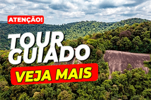 Parques Ibirapuera, Cantareira e Horto Florestal são conectados por um tour guiado neste fim de semana