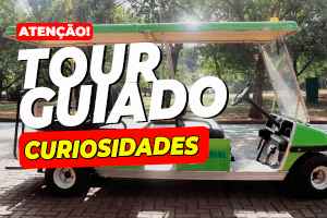 Tour guiado conta curiosidades do Parque Cemucam, que faz 70 anos em 2024